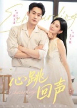 心跳回聲