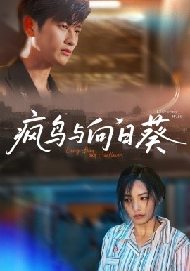 瘋鳥(niǎo)與向日葵