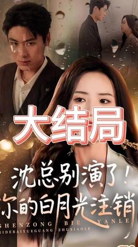 沈總別演了你的白月光注銷了