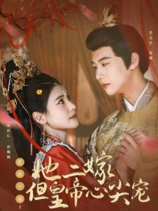 惹她干嘛，她二嫁但皇帝心尖寵