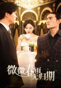 微微春雨無歸期