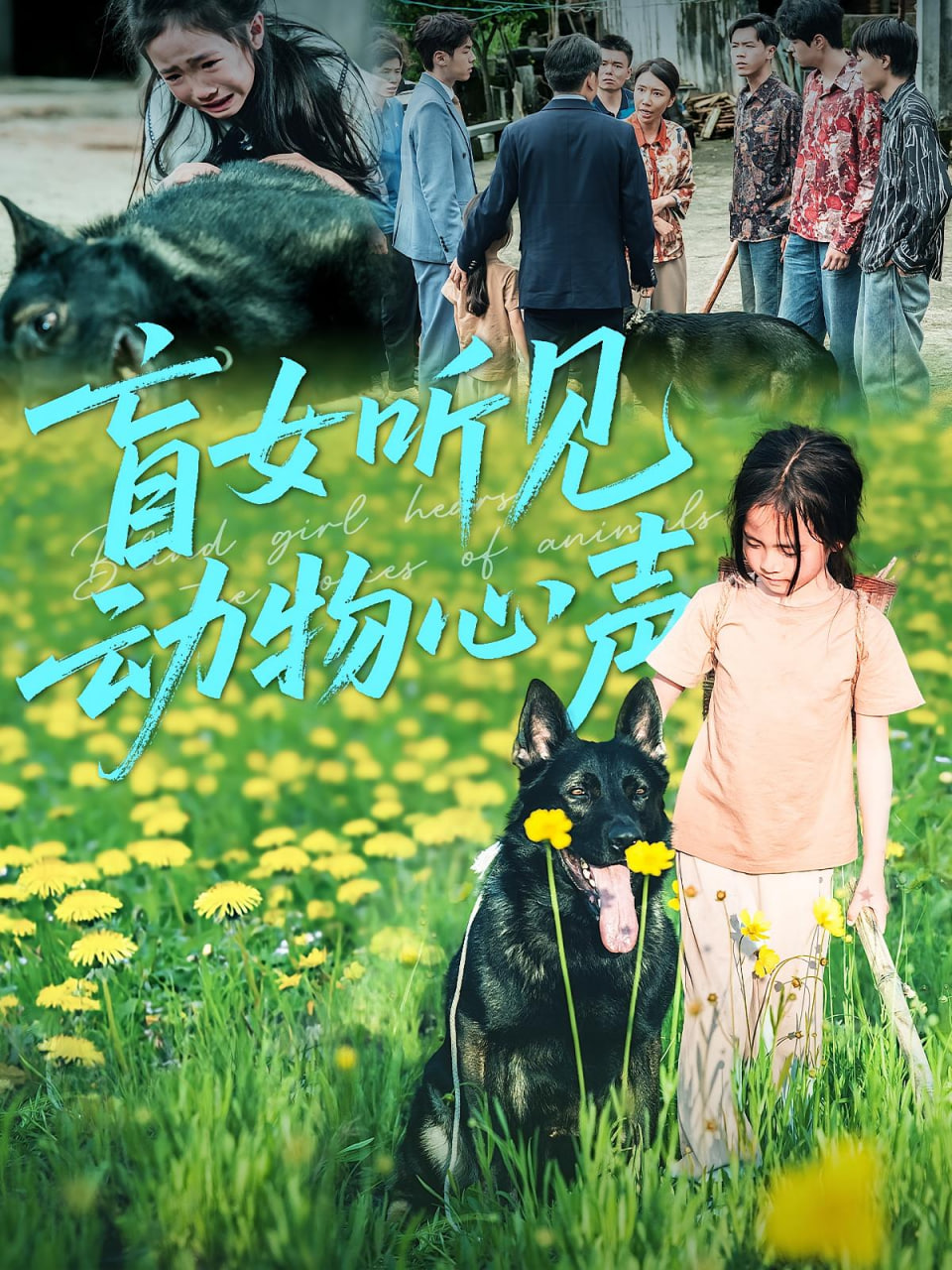 盲女聽見動(dòng)物心聲