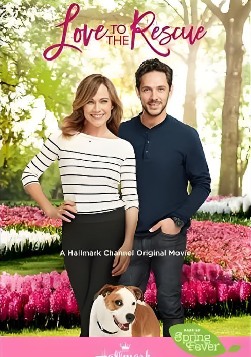 救助狗狗遇到愛